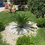 Oda ve Kahvaltı Meryam Deluxe